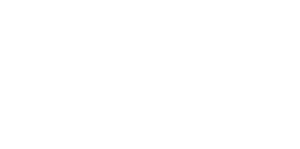 EV