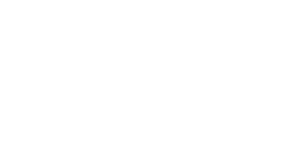 Fender